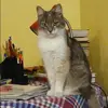 Отзыв от Оля Колесова